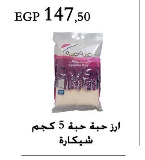  Egyptian / Calrose Rice  in عرفة ماركت in Egypt - القاهرة
