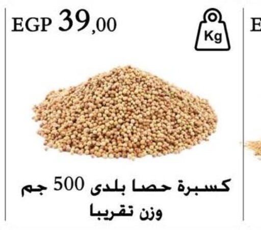  Dried Herbs  in عرفة ماركت in Egypt - القاهرة