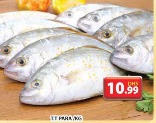  King Fish  in Grand Hyper Market in UAE - Dubai