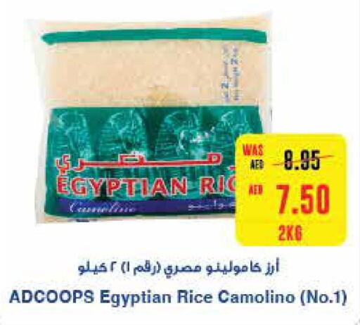 Egyptian / Calrose Rice  in  جمعية أبوظبي التعاونية in الإمارات العربية المتحدة , الامارات - رَأْس ٱلْخَيْمَة