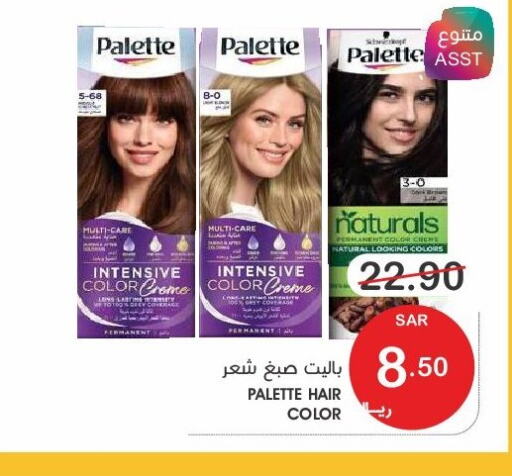PALETTE Hair Colour  in Mazaya in KSA, Saudi Arabia, Saudi - Qatif