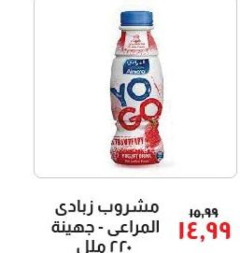 ALMARAI Yoghurt  in خير زمان in Egypt - القاهرة