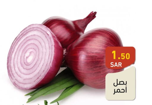  Onion  in أسواق رامز in مملكة العربية السعودية, السعودية, سعودية - المنطقة الشرقية
