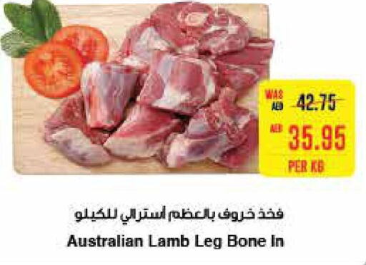  Mutton / Lamb  in  جمعية أبوظبي التعاونية in الإمارات العربية المتحدة , الامارات - رَأْس ٱلْخَيْمَة