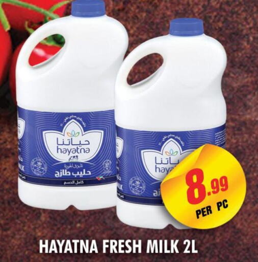 HAYATNA Fresh Milk  in NIGHT TO NIGHT DEPARTMENT STORE in UAE - Sharjah / Ajman