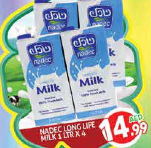 NADEC Long Life / UHT Milk  in مركز النخيل هايبرماركت in الإمارات العربية المتحدة , الامارات - الشارقة / عجمان