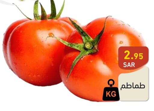  Tomato  in أسواق رامز in مملكة العربية السعودية, السعودية, سعودية - تبوك