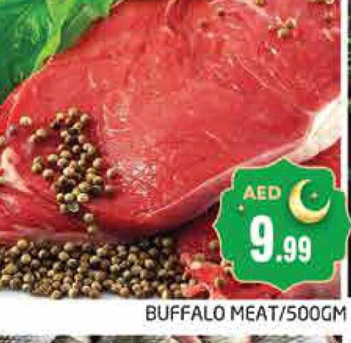  Buffalo  in مجموعة باسونس in الإمارات العربية المتحدة , الامارات - دبي