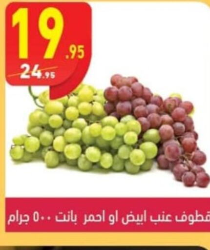  Grapes  in Mahmoud El Far in Egypt - Cairo