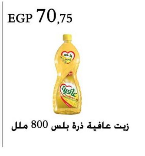 AFIA Corn Oil  in عرفة ماركت in Egypt - القاهرة
