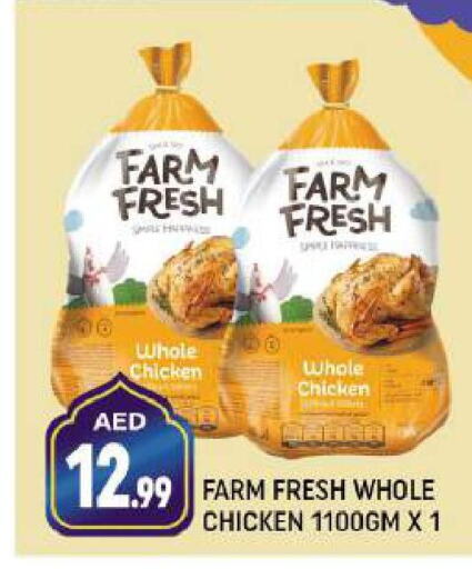 FARM FRESH Fresh Chicken  in Shaklan  in UAE - Dubai