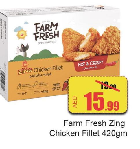 FARM FRESH Chicken Fillet  in الأسواق هايبرماركت in الإمارات العربية المتحدة , الامارات - رَأْس ٱلْخَيْمَة
