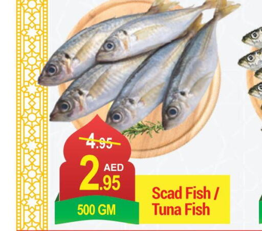  Tuna  in نيو دبليو مارت سوبرماركت in الإمارات العربية المتحدة , الامارات - دبي