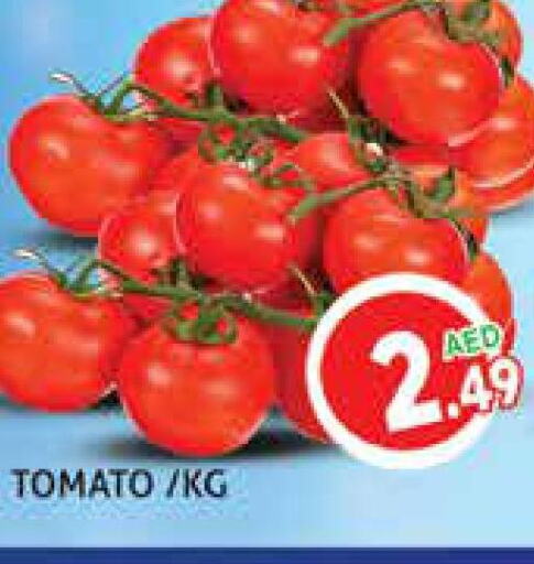 Tomato  in مركز النخيل هايبرماركت in الإمارات العربية المتحدة , الامارات - الشارقة / عجمان
