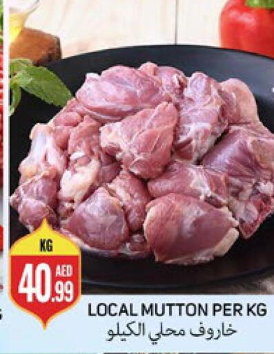  Mutton / Lamb  in Palm Centre LLC in UAE - Sharjah / Ajman