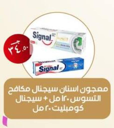 SIGNAL Toothpaste  in Arafa Market in Egypt - Cairo
