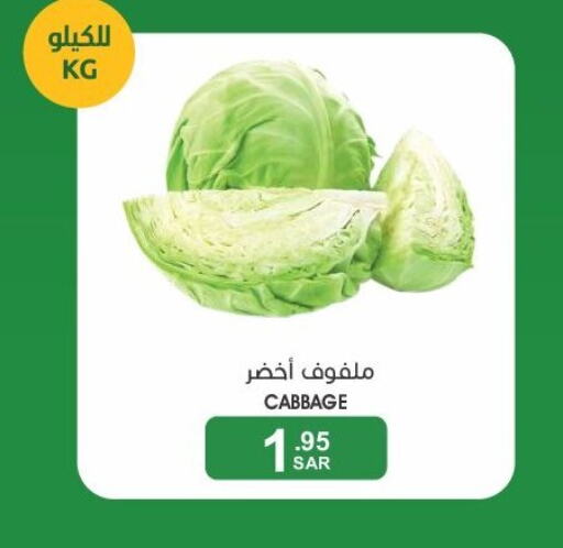  Cabbage  in Mazaya in KSA, Saudi Arabia, Saudi - Qatif
