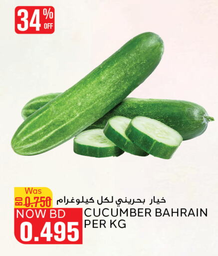  Cucumber  in الجزيرة سوبرماركت in البحرين