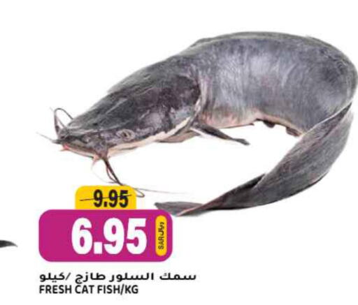  King Fish  in Grand Hyper in KSA, Saudi Arabia, Saudi - Riyadh