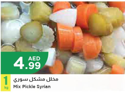  Pickle  in Istanbul Supermarket in UAE - Al Ain