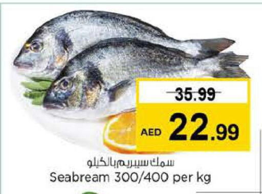  King Fish  in Last Chance  in UAE - Sharjah / Ajman