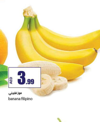  Banana  in  روابي ماركت عجمان in الإمارات العربية المتحدة , الامارات - الشارقة / عجمان
