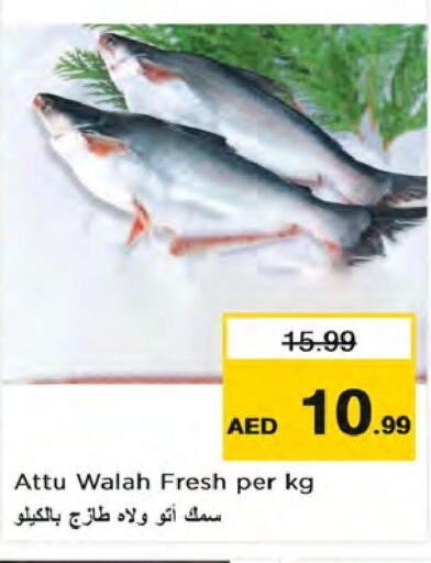  King Fish  in نستو هايبرماركت in الإمارات العربية المتحدة , الامارات - الشارقة / عجمان