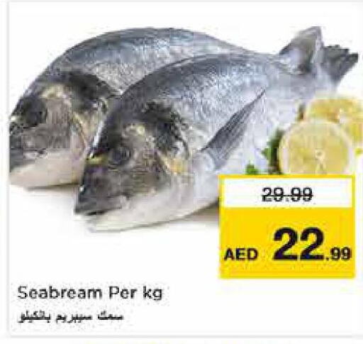 King Fish  in نستو هايبرماركت in الإمارات العربية المتحدة , الامارات - أبو ظبي
