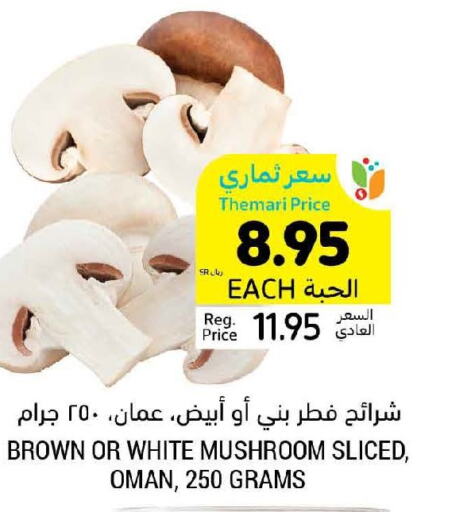  Mushroom  in Tamimi Market in KSA, Saudi Arabia, Saudi - Jubail