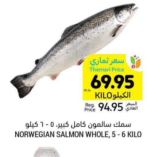  King Fish  in أسواق التميمي in مملكة العربية السعودية, السعودية, سعودية - حفر الباطن