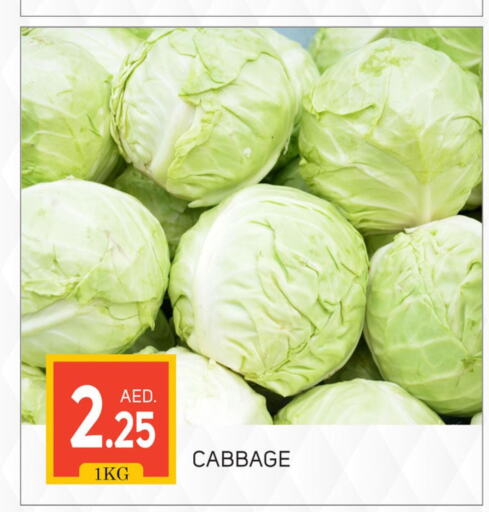  Cabbage  in سوق طلال in الإمارات العربية المتحدة , الامارات - دبي
