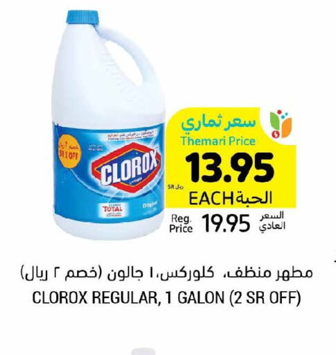 CLOROX Bleach  in Tamimi Market in KSA, Saudi Arabia, Saudi - Khafji