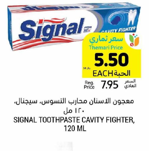 SIGNAL Toothpaste  in Tamimi Market in KSA, Saudi Arabia, Saudi - Dammam
