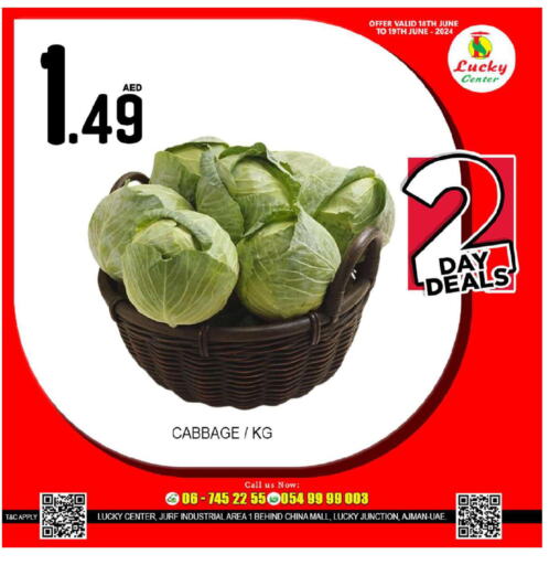  Cabbage  in لكي سنتر in الإمارات العربية المتحدة , الامارات - الشارقة / عجمان