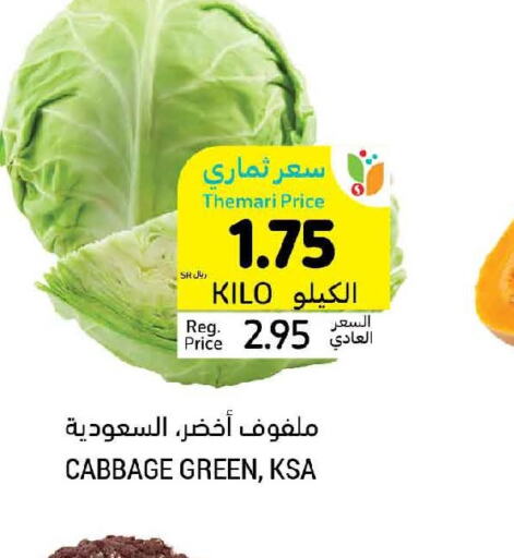  Cabbage  in Tamimi Market in KSA, Saudi Arabia, Saudi - Tabuk