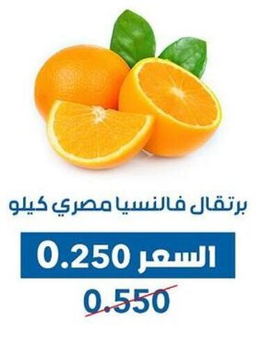  Orange  in Dahiyat Abdullah Al Salem and Mansourieh Cooperative Society in Kuwait - Ahmadi Governorate