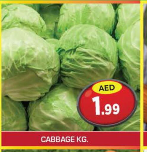  Cabbage  in Baniyas Spike  in UAE - Umm al Quwain