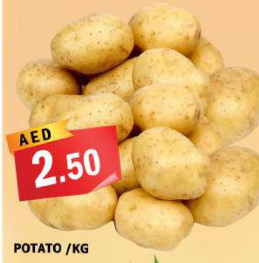  Potato  in أزهر المدينة هايبرماركت in الإمارات العربية المتحدة , الامارات - الشارقة / عجمان