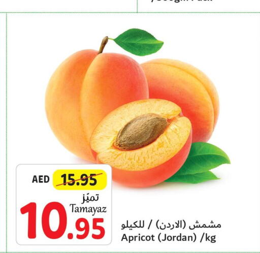  Sweet melon  in تعاونية الاتحاد in الإمارات العربية المتحدة , الامارات - أبو ظبي
