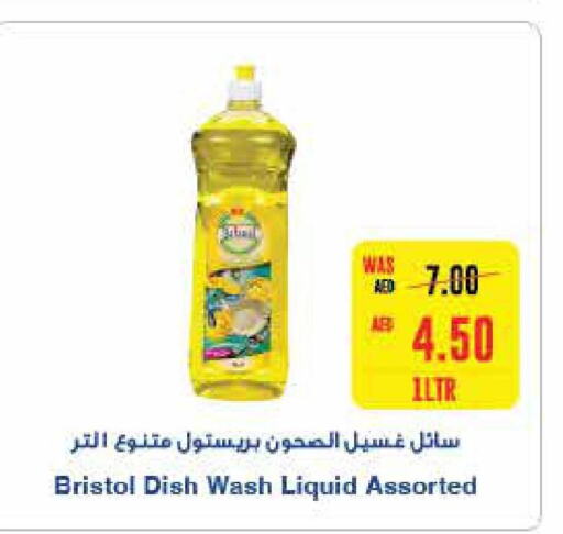 ALOKOZAY Detergent  in سبار هايبرماركت in الإمارات العربية المتحدة , الامارات - رَأْس ٱلْخَيْمَة