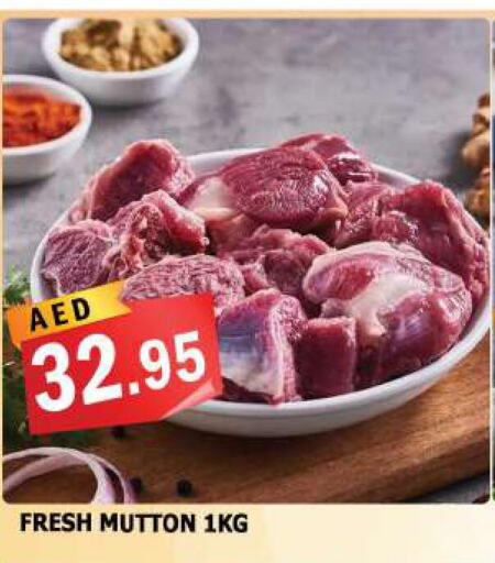  Mutton / Lamb  in أزهر المدينة هايبرماركت in الإمارات العربية المتحدة , الامارات - الشارقة / عجمان