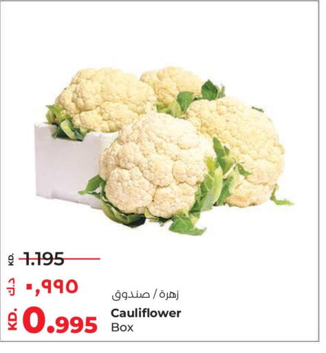  Cauliflower  in Lulu Hypermarket  in Kuwait - Jahra Governorate