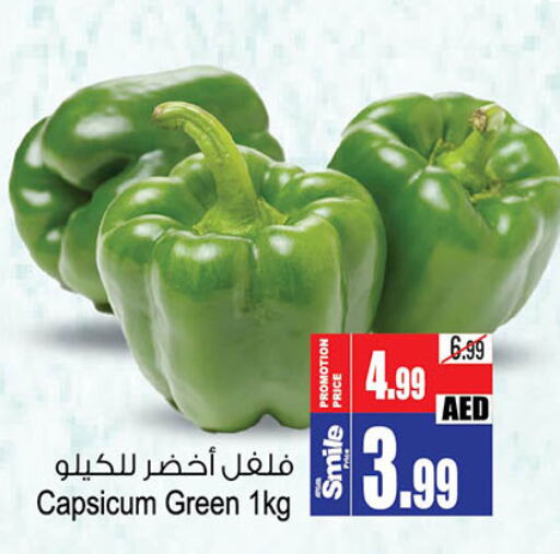  Chilli / Capsicum  in أنصار جاليري in الإمارات العربية المتحدة , الامارات - دبي