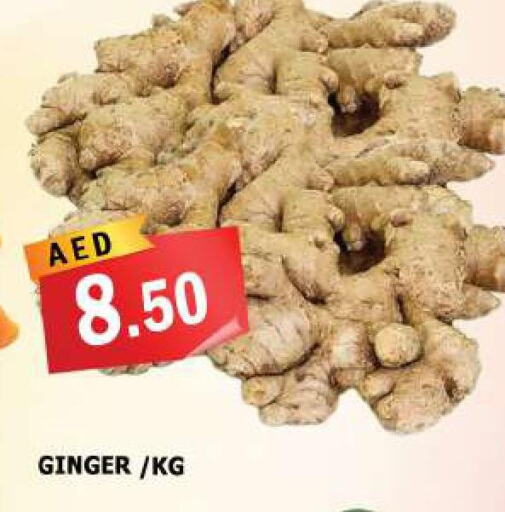  Ginger  in أزهر المدينة هايبرماركت in الإمارات العربية المتحدة , الامارات - الشارقة / عجمان