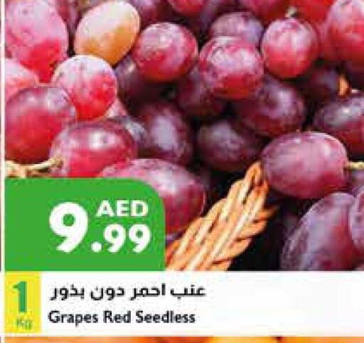 Grapes  in Istanbul Supermarket in UAE - Abu Dhabi