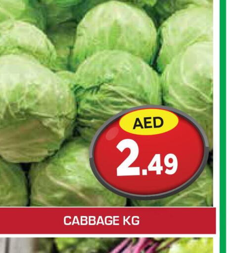  Cabbage  in سنابل بني ياس in الإمارات العربية المتحدة , الامارات - رَأْس ٱلْخَيْمَة