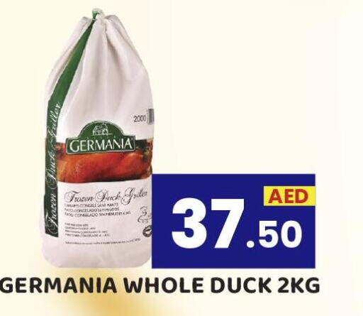  Frozen Whole Chicken  in Royal Grand Hypermarket LLC in UAE - Abu Dhabi