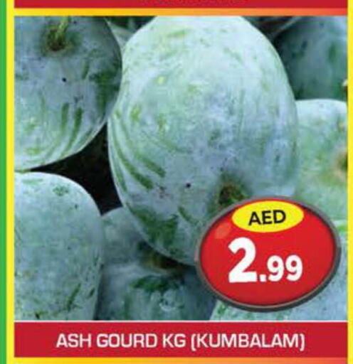  Gourd  in Baniyas Spike  in UAE - Fujairah