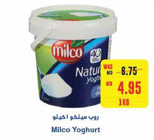  Yoghurt  in Abu Dhabi COOP in UAE - Al Ain