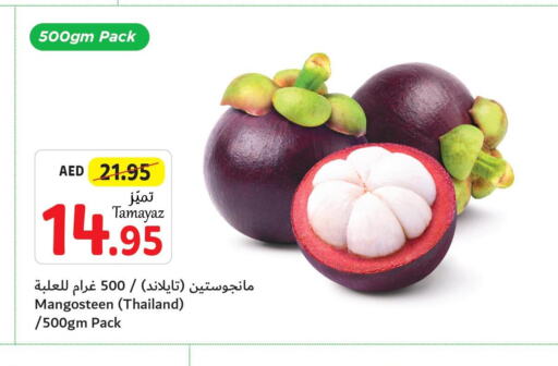  Watermelon  in تعاونية الاتحاد in الإمارات العربية المتحدة , الامارات - أبو ظبي